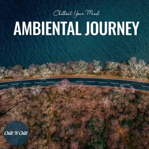 Ambiental Journey Chillout Your Mind (2022) FLAC