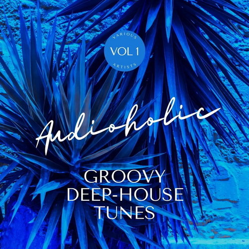 Audioholic Groovy Deep-House Tunes Vol. 1 (2022) AAC