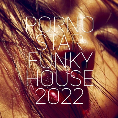 Pornostar Funky House 2022 (2022)