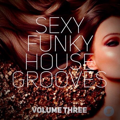 Sexy Funky House Grooves Volume Three (2022)