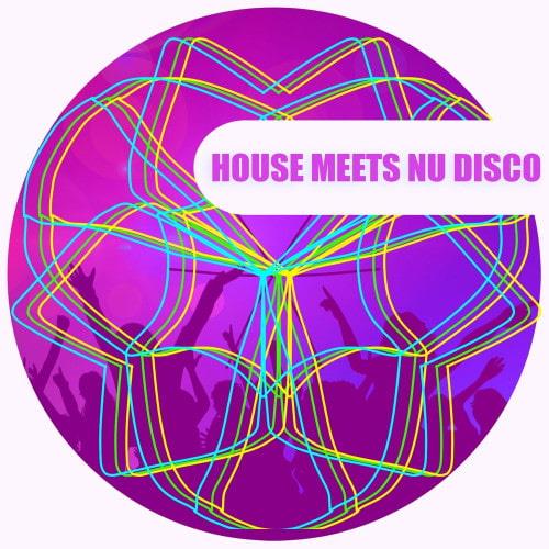 House Meets Nu Disco (2022)