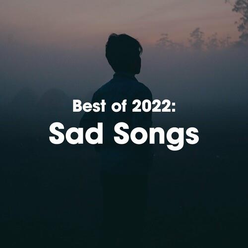 Best of 2022 Sad Songs (2022)