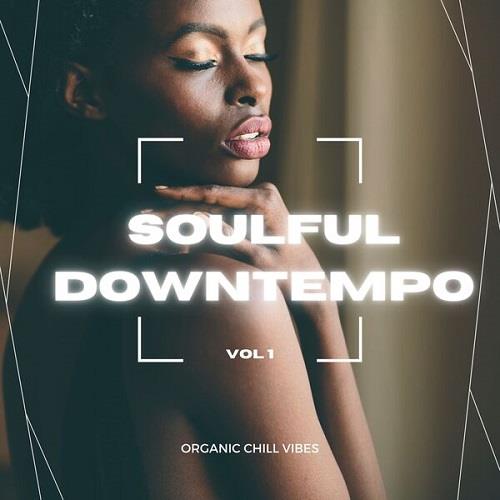 Soulful Downtempo Vol. 1 Organic Chill Vibes (2022) FLAC