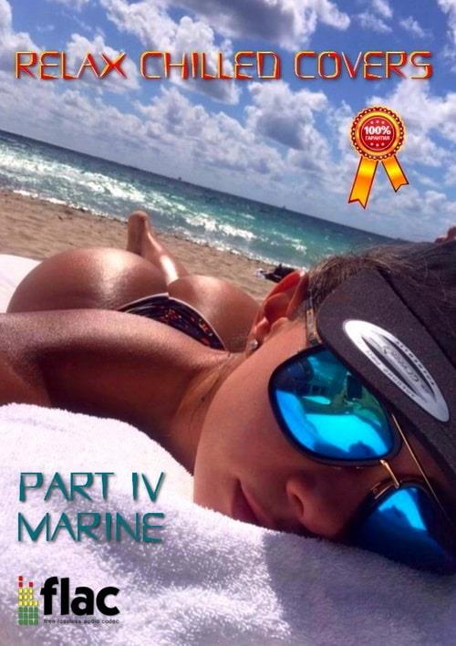 Relax Chilled Covers Instrumental, part IV - Marine (2023) FLAC