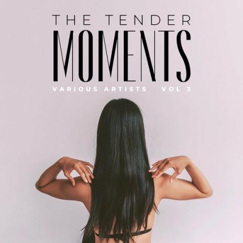 The Tender Moments Vol. 3 (2023) FLAC