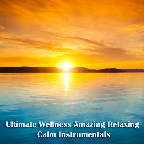 Ultimate Wellness Amazing Relaxing Calm Instrumentals (2023)