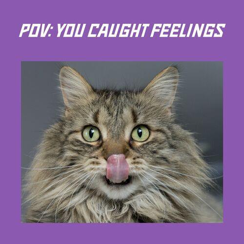 Pov you caught feelings (2023)