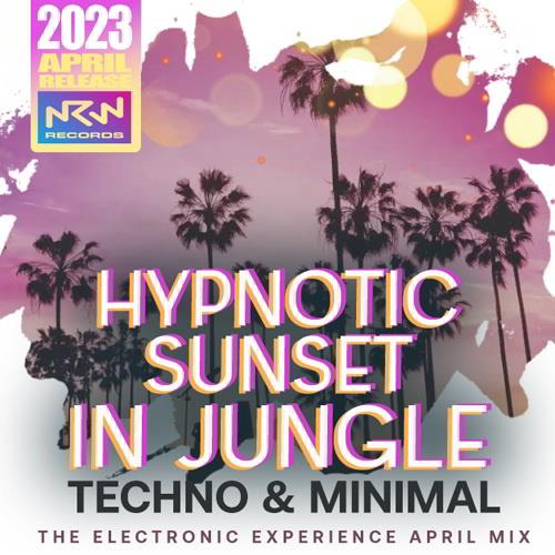 Techno Hypnotic Sunset (2023)