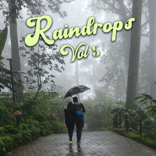 Raindrops Vol 5 (2023)