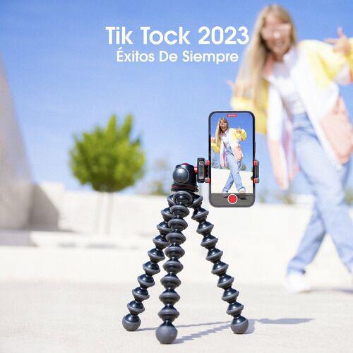Tik Tock 2023 - Exitos De Siempre (2023)