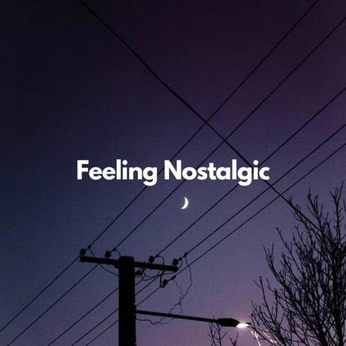 Feeling Nostalgic (2023) FLAC