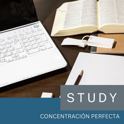 Concentracion Perfecta (2023)