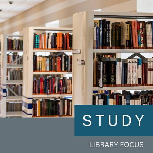 Library Focus (2023)
