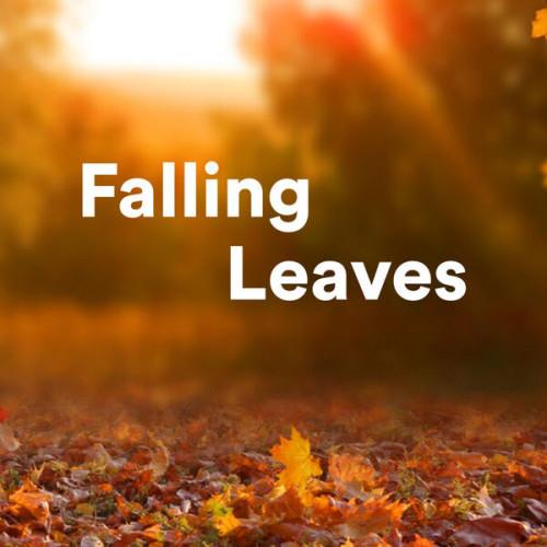 Falling Leaves (2023)