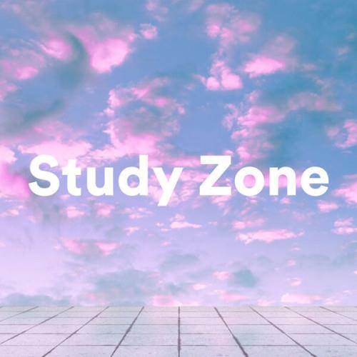 Study Zone (2023)