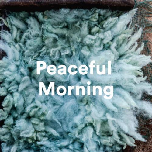 Peaceful Morning (2023)
